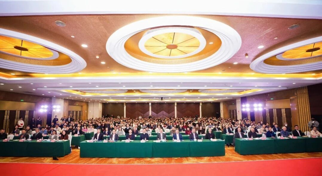 084f6ff26465d0a65c12e90a7c78dd0f